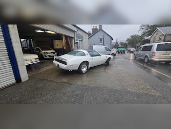 Used Pontiac Firebird 1982 for sale - 76510939: Photo