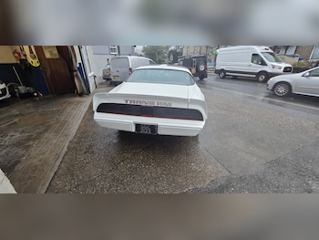 Used Pontiac Firebird 1982 for sale - 76510939: Photo