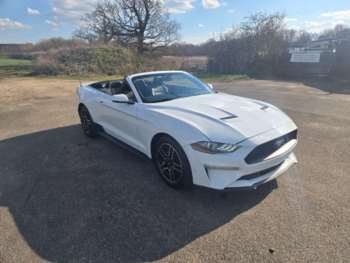 Used Ford Mustang 2019 for sale - 74798736: Photo