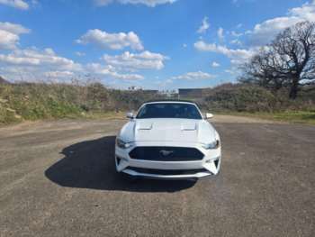 Used Ford Mustang 2019 for sale - 74798736: Photo