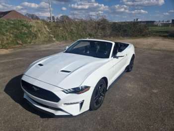 Used Ford Mustang 2019 for sale - 74798736: Photo