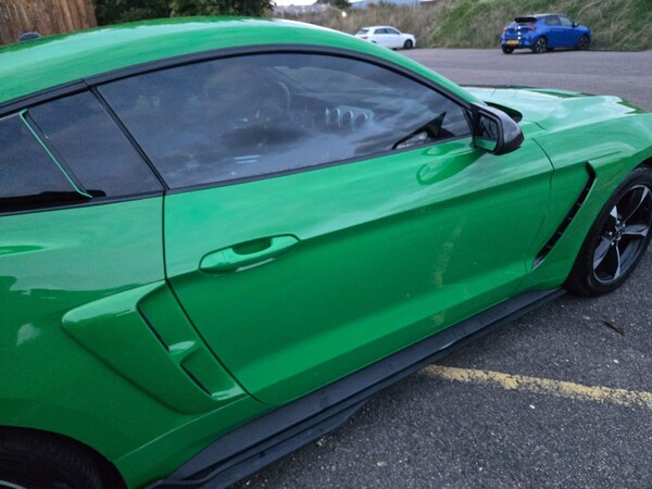 Used Ford Mustang for sale - 73554443: Photo 10