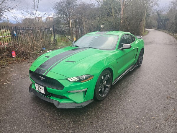 Used Ford Mustang for sale - 73554443: Photo 13