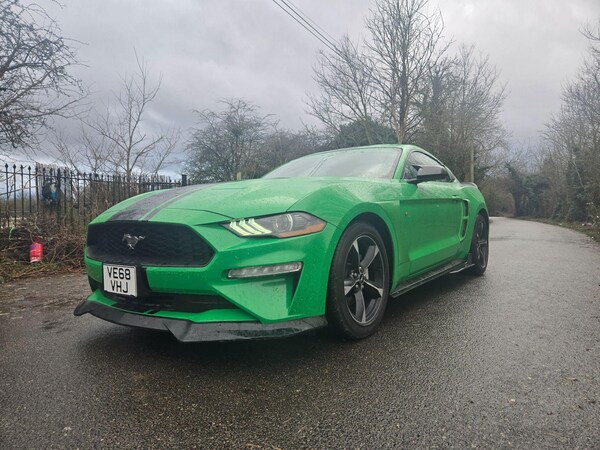 Used Ford Mustang for sale - 73554443: Photo 14