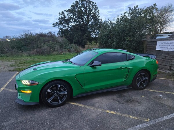Used Ford Mustang for sale - 73554443: Photo 21