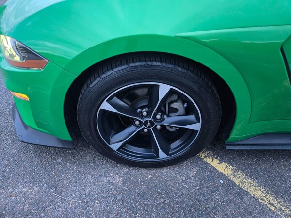 Used Ford Mustang for sale - 73554443: Photo 22