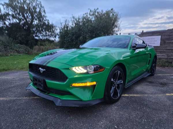 Used Ford Mustang for sale - 73554443: Photo 33