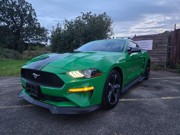 Used Ford Mustang for sale - 73554443: Photo 34