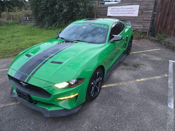 Used Ford Mustang for sale - 73554443: Photo 35