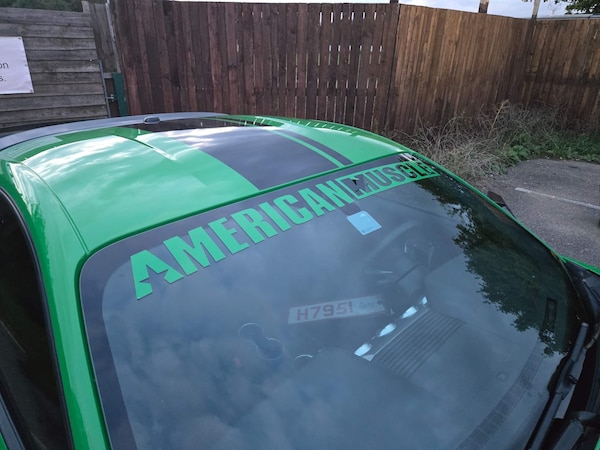 Used Ford Mustang for sale - 73554443: Photo 6