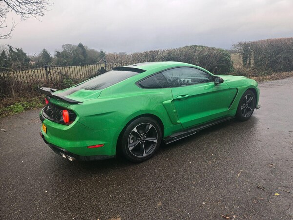 Used Ford Mustang for sale - 73554443: Photo 9