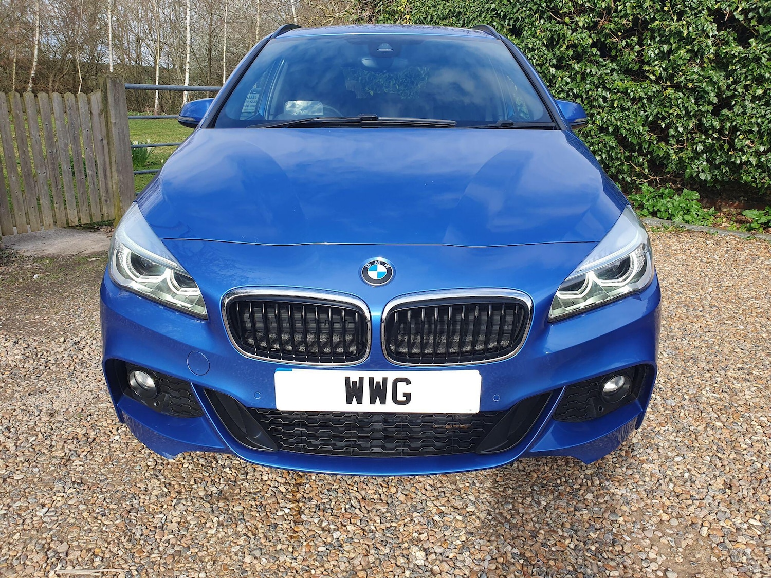 Used BMW 2 Series 2017 for sale - 77883408: Photo 2