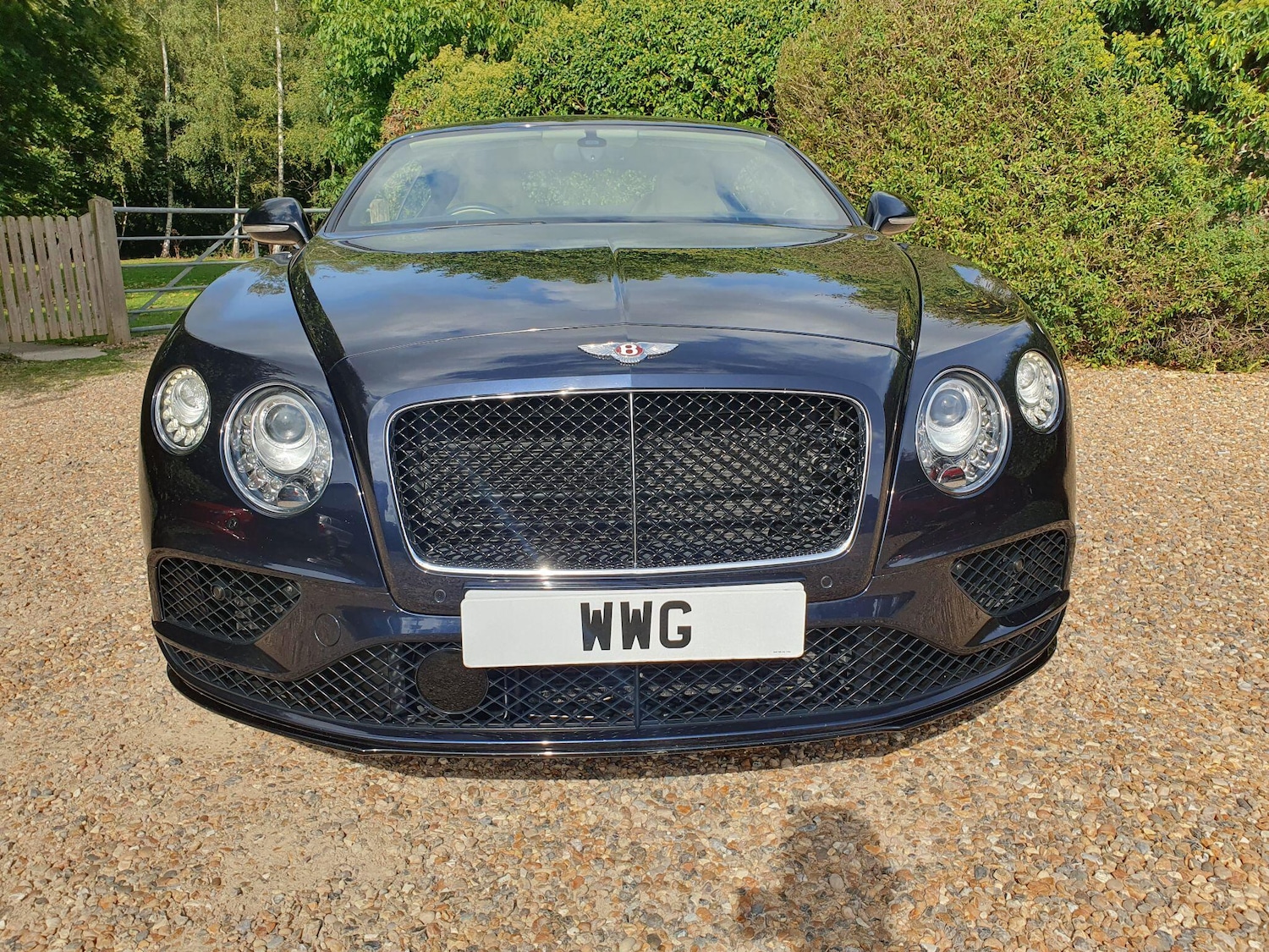 Used Bentley Continental for sale - 76658325: Photo 2