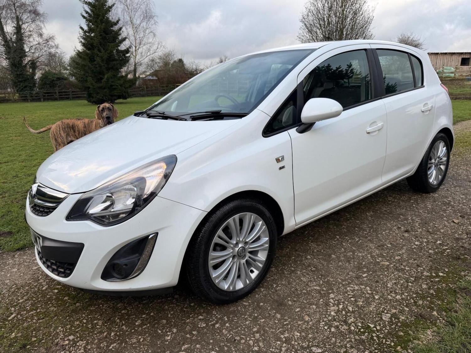 Used Vauxhall Corsa 2015 for sale - 77483689: Photo 11