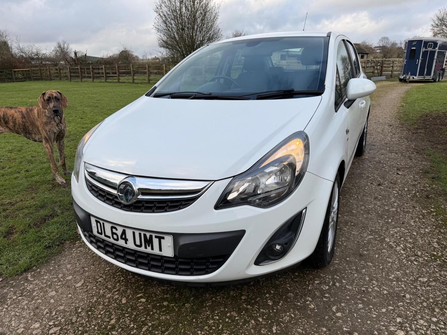 Used Vauxhall Corsa 2015 for sale - 77483689: Photo 4
