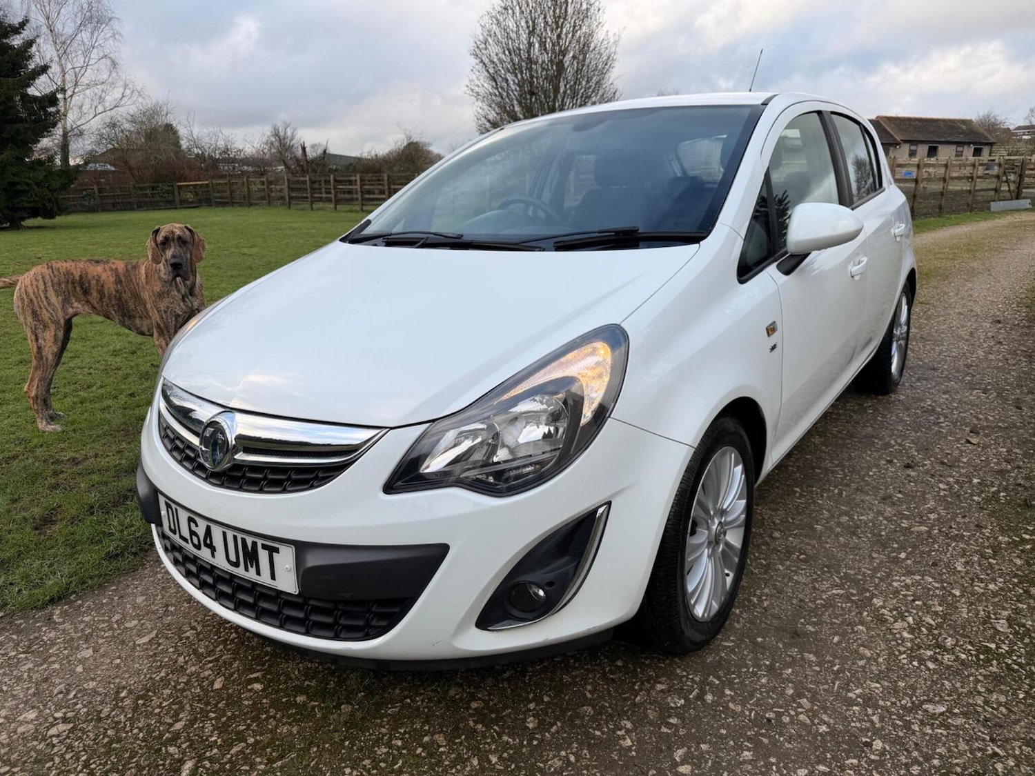 Used Vauxhall Corsa 2015 for sale - 77483689: Photo 8