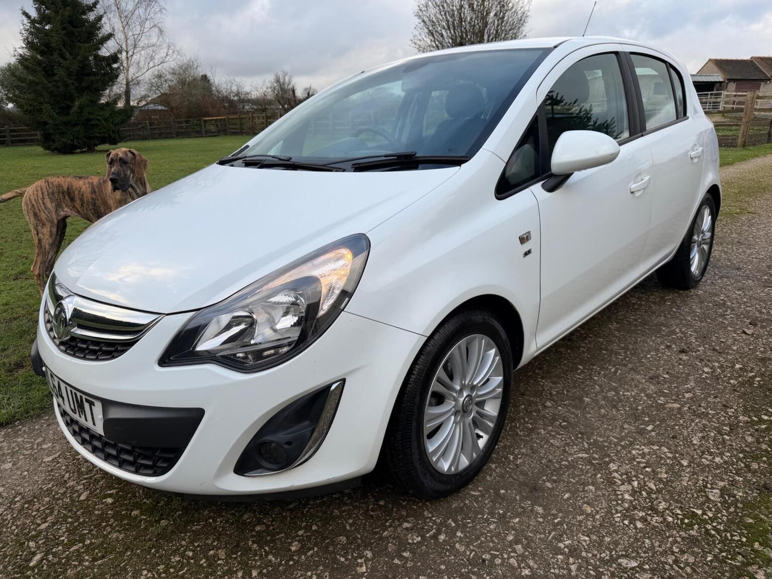 Used Vauxhall Corsa 2015 for sale - 77483689: Photo 9