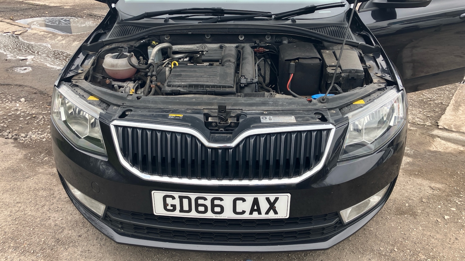 Used Skoda Octavia 2016 for sale - 77796793: Photo 8