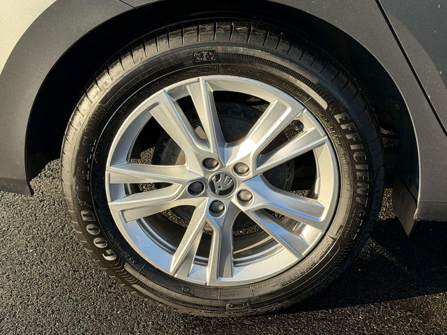 Used Skoda Fabia 2024 for sale - 77175078: Photo 9