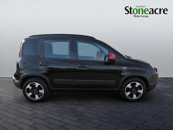 Used Fiat Panda 2024 for sale - 79821373: Photo