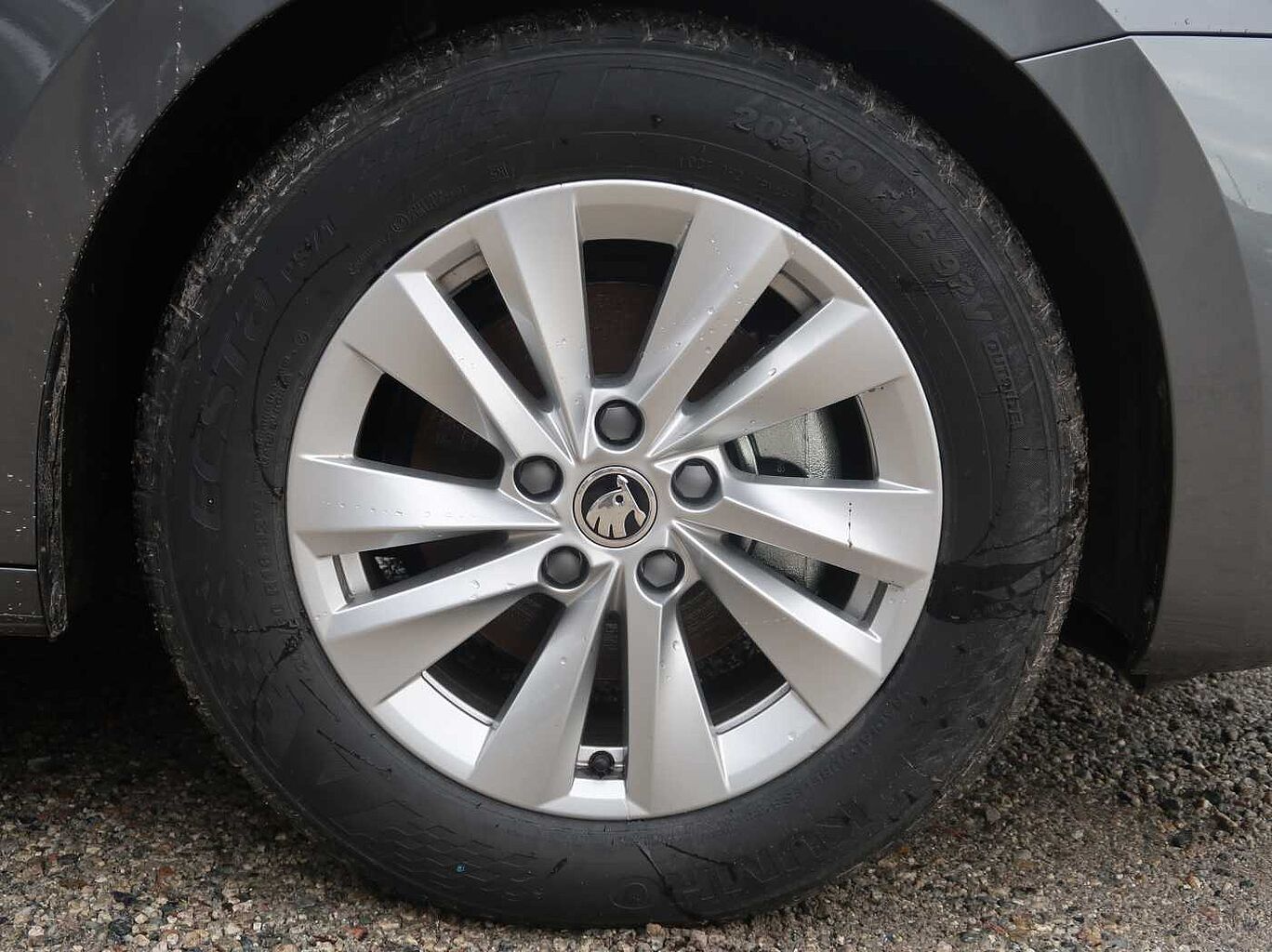 Used Skoda Octavia 2025 for sale - 76678729: Photo 5