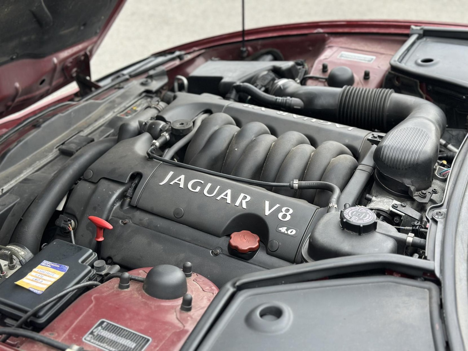 Used Jaguar XK8 1999 for sale - 76209539: Photo 45
