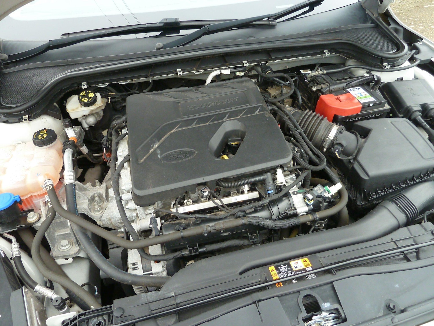 Used Ford Focus 2019 for sale - 77784152: Photo 17