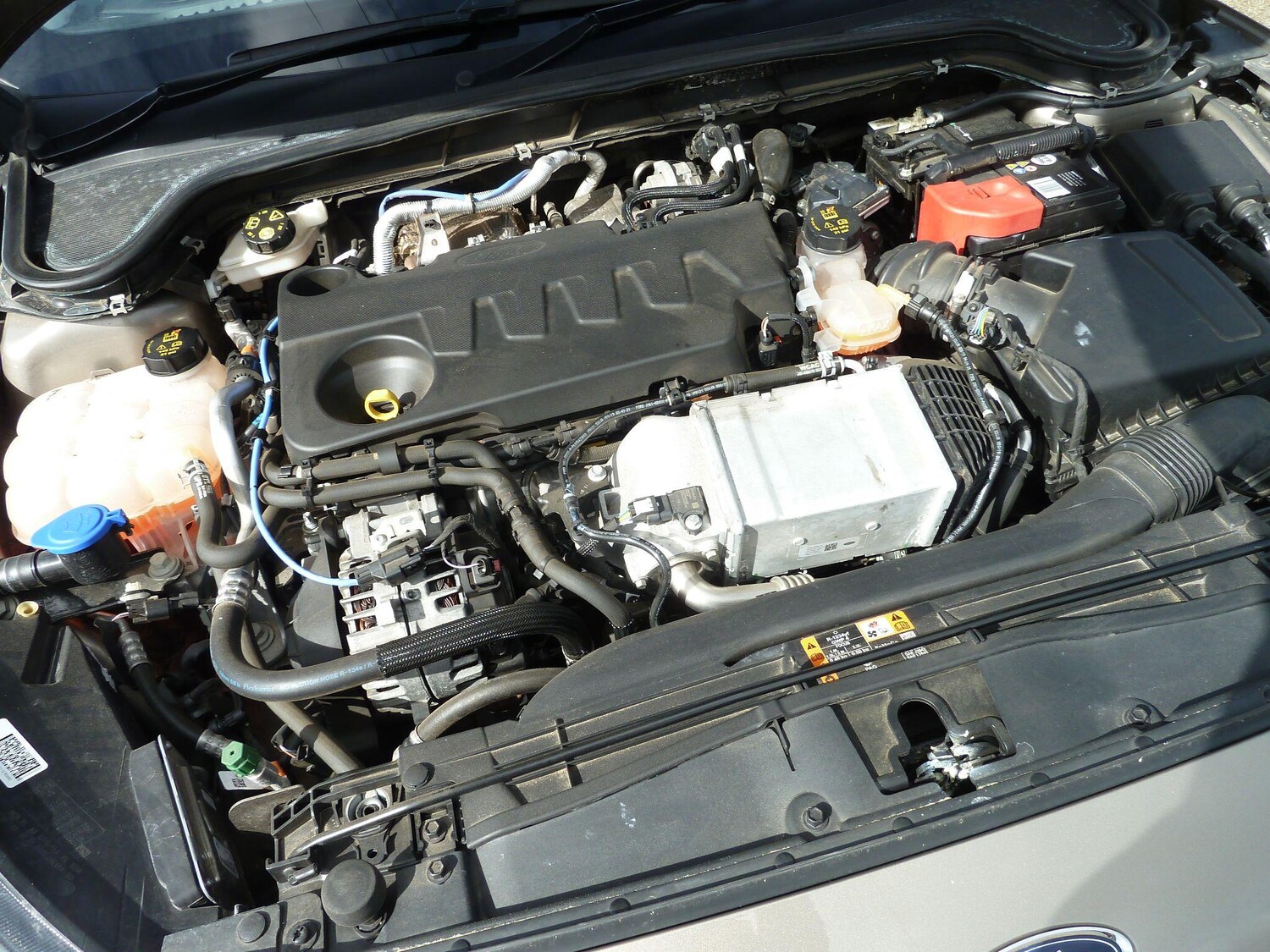 Used Ford Focus for sale - 77908675: Photo 16