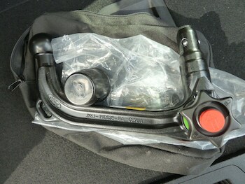 Used Ford Focus 2019 for sale - 77908675: Photo