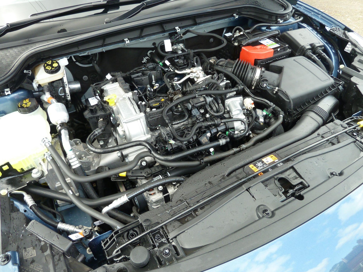 Used Ford Focus for sale - 76987794: Photo 17