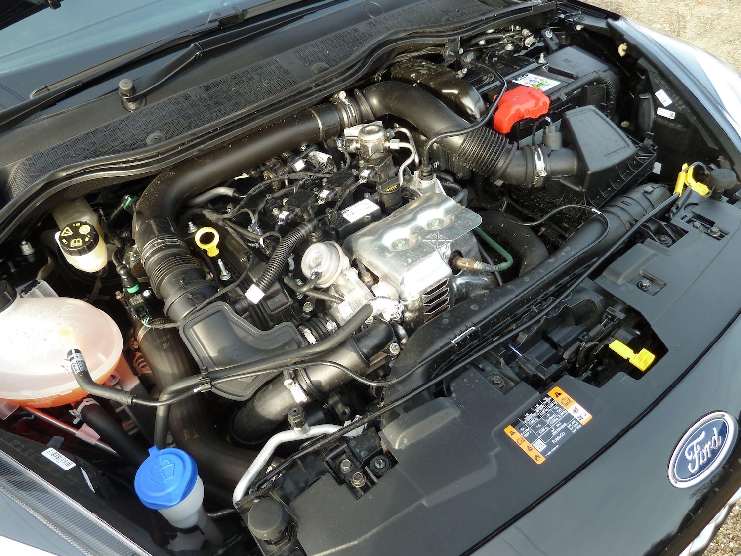 Used Ford Fiesta for sale - 77738629: Photo 8