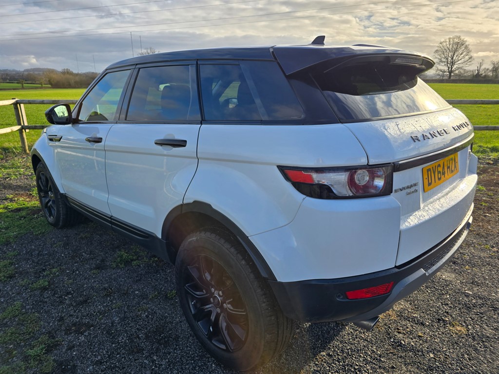 Used Land Rover Range Rover Evoque 2014 for sale - 77397597: Photo 11