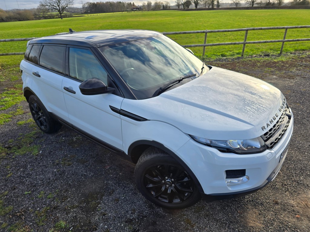 Used Land Rover Range Rover Evoque 2014 for sale - 77397597: Photo 2