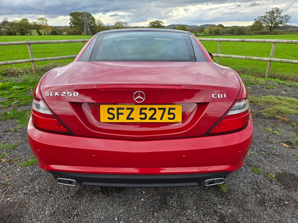 Used Mercedes-Benz SLK 2014 for sale - 76373040: Photo 10