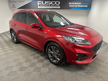 2021 - 2.0 EcoBlue mHEV ST-Line Edition 5dr