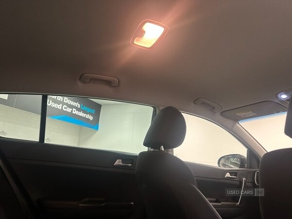 Used Kia Sportage 2019 for sale - 76271125: Photo 16