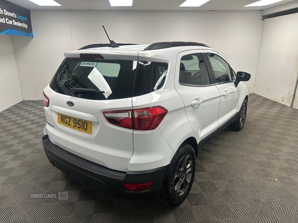 Used Ford Ecosport 2019 for sale - 76936904: Photo 7