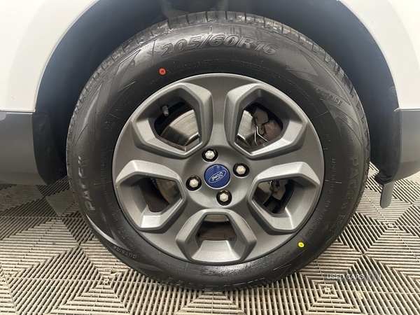 Used Ford Ecosport 2019 for sale - 76936904: Photo 9