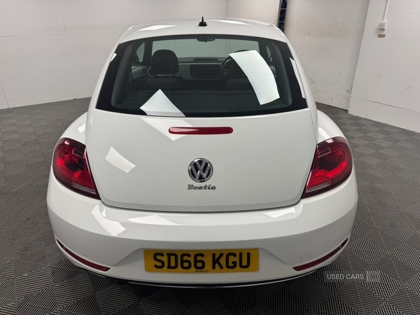Used Volkswagen Beetle 2016 for sale - 75200502: Photo 5
