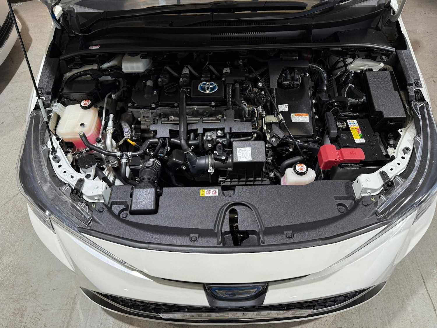 Used Toyota Corolla for sale - 77654062: Photo 19