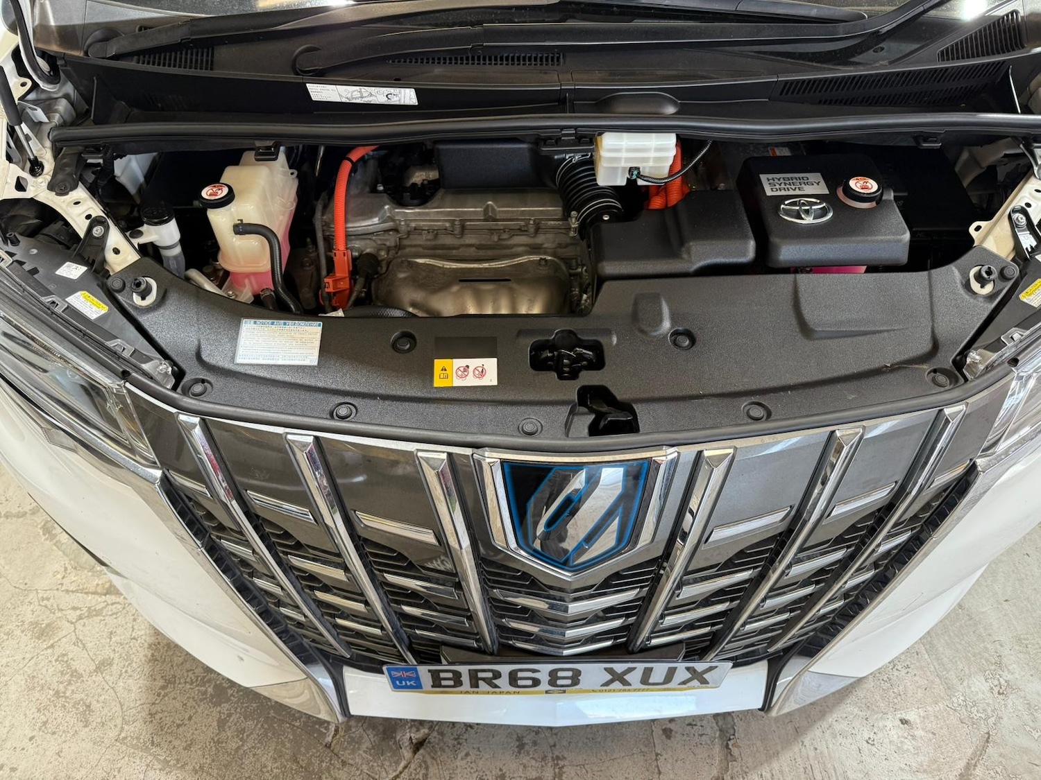 Used Toyota Alphard for sale - 76697793: Photo 22