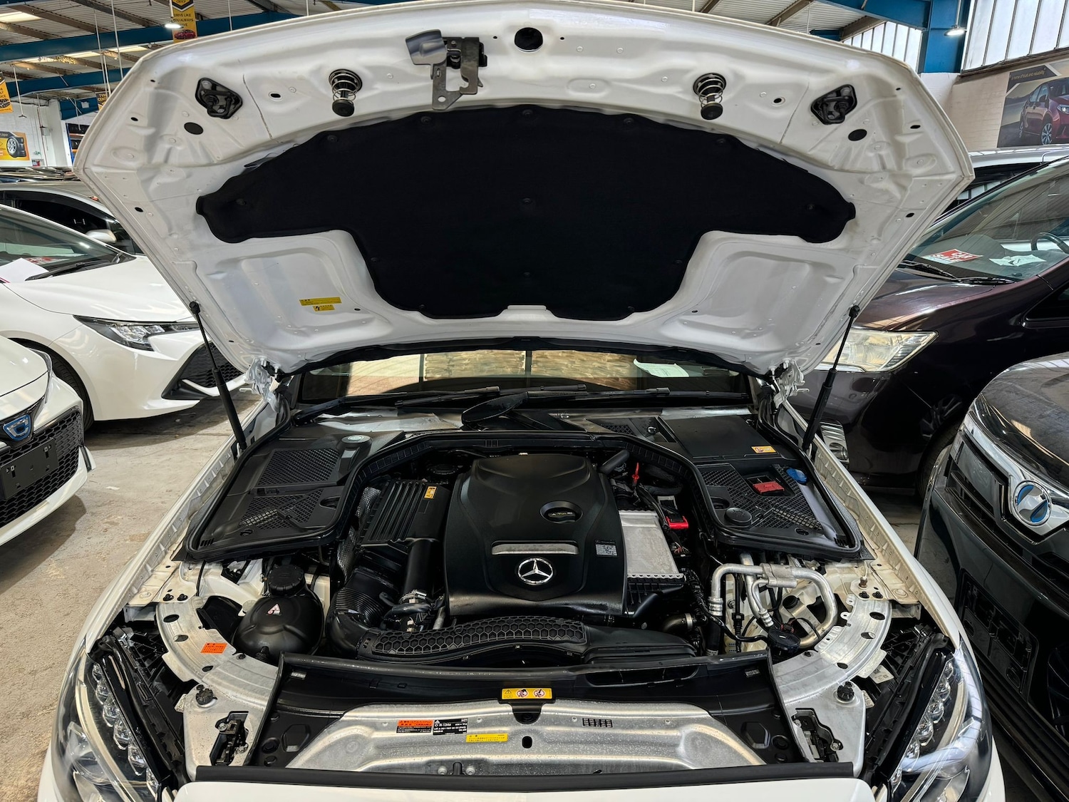 Vehicle 33