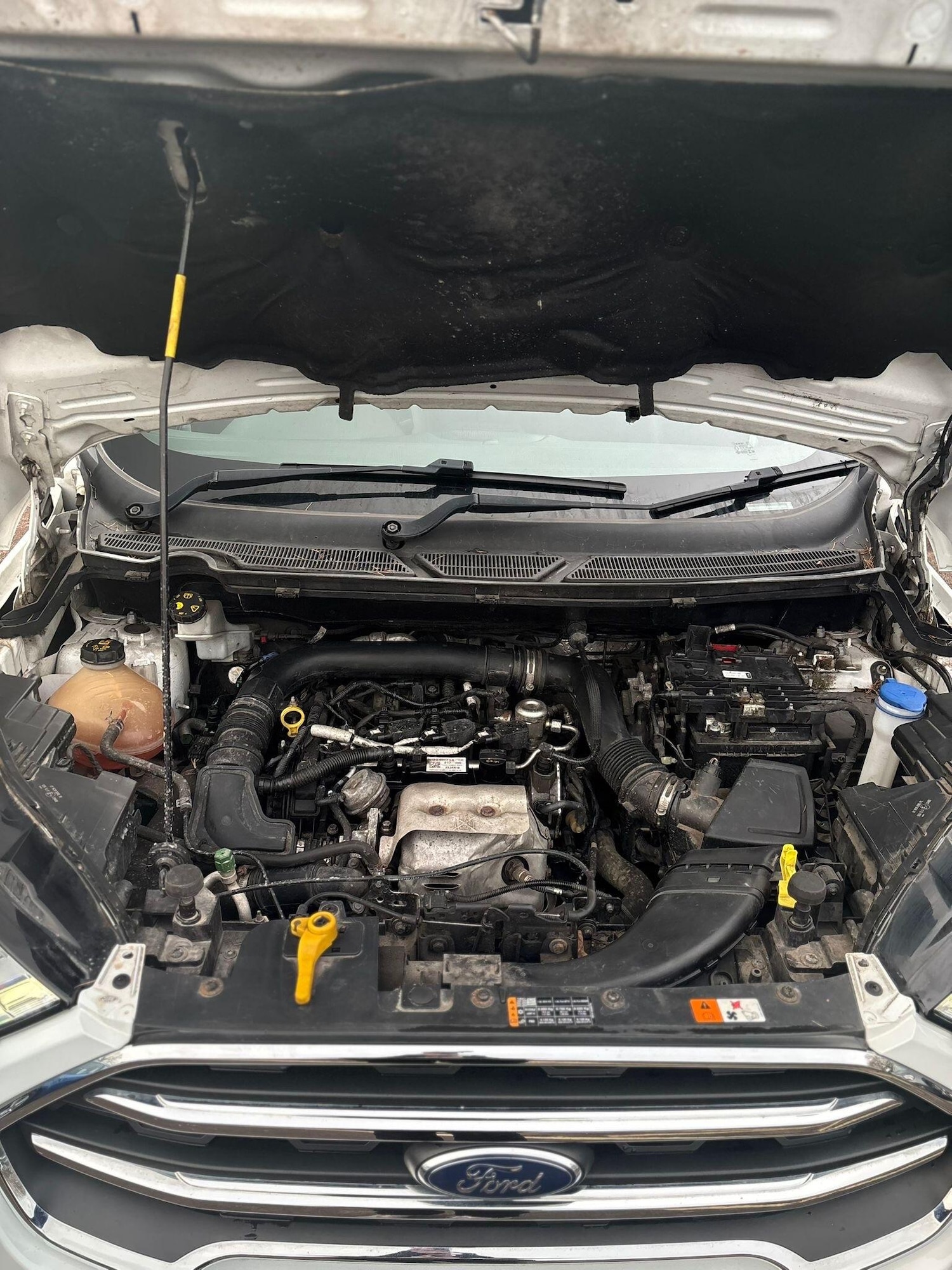 Used Ford Ecosport 2018 for sale - 76913213: Photo 23