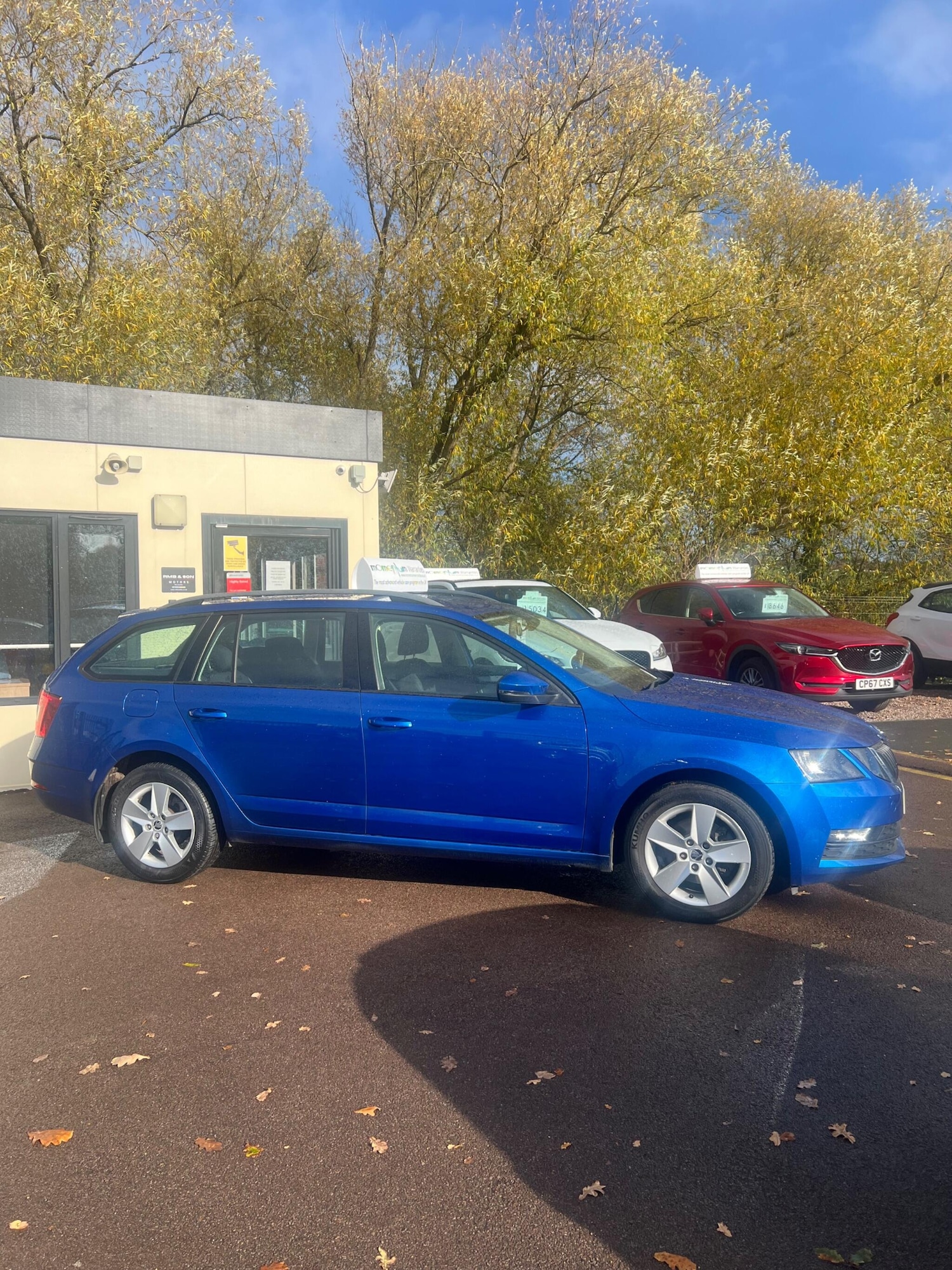 Used Skoda Octavia 2017 for sale - 76360467: Photo 11