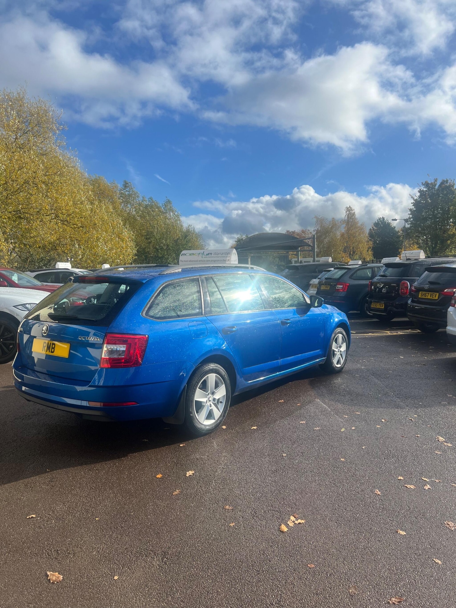 Used Skoda Octavia 2017 for sale - 76360467: Photo 12