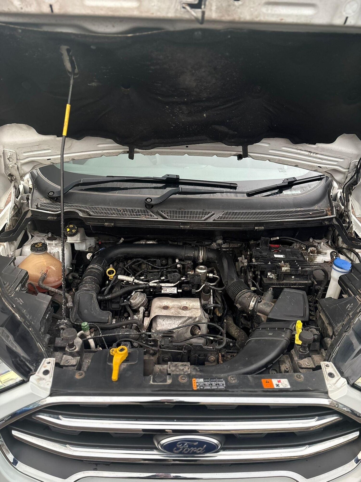 Used Ford Ecosport 2018 for sale - 77965373: Photo 23