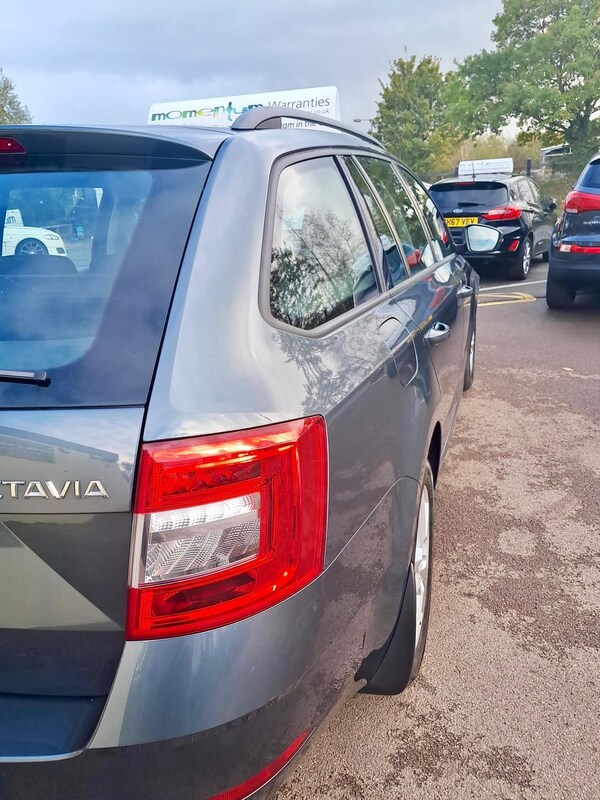 Used Skoda Octavia 2017 for sale - 76326703: Photo 13