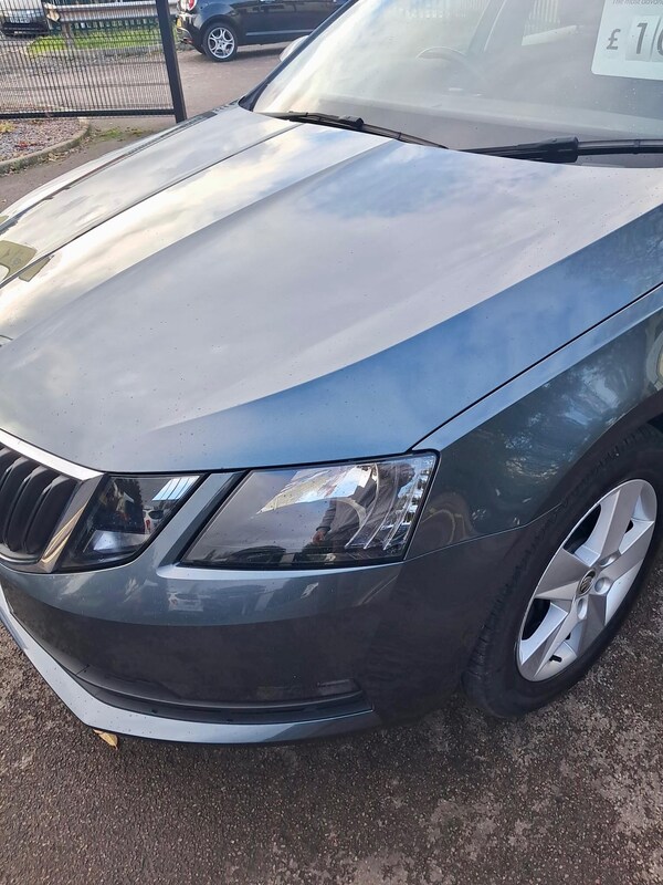 Used Skoda Octavia 2017 for sale - 76326703: Photo 50