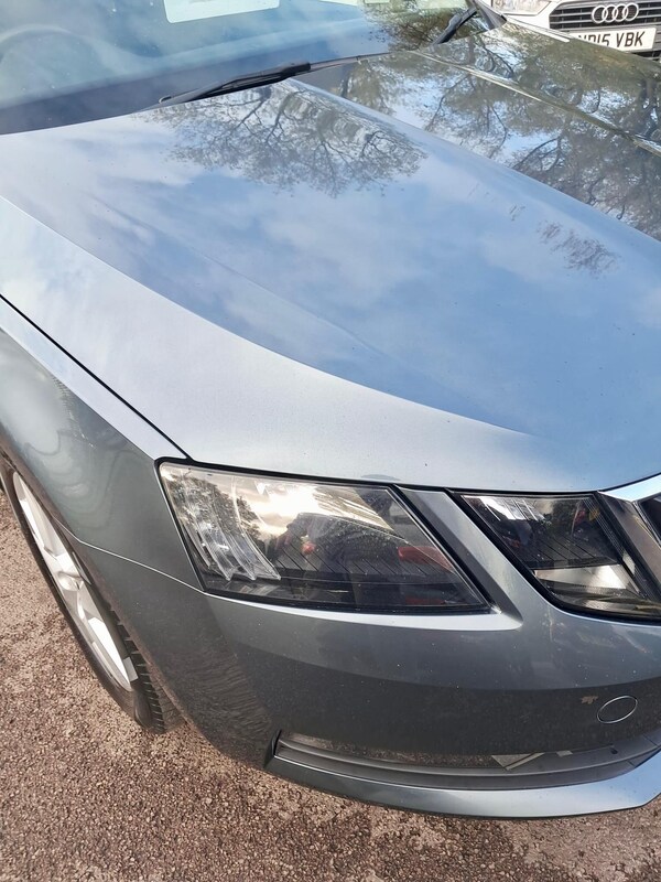 Used Skoda Octavia 2017 for sale - 76326703: Photo 51