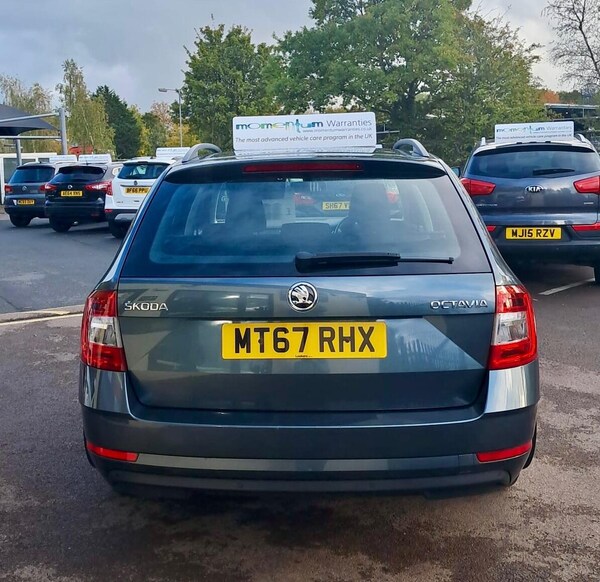 Used Skoda Octavia 2017 for sale - 76326703: Photo 9